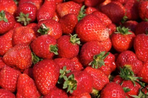 Strawberry Foto stock