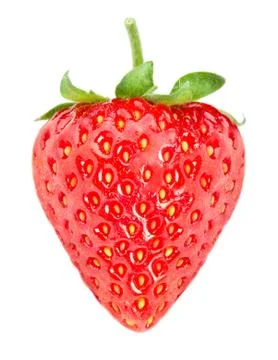 Strawberry Stock Photos