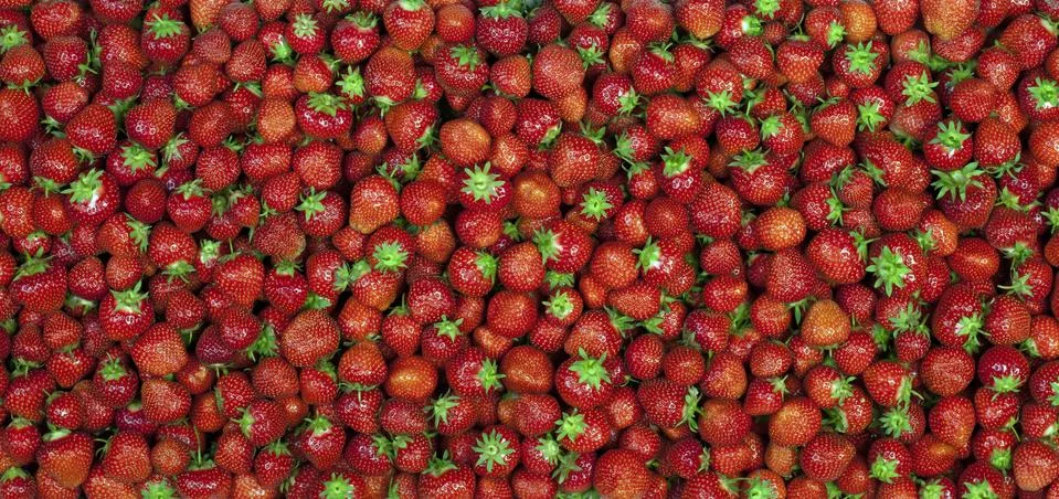 Strawberry Stock Photos