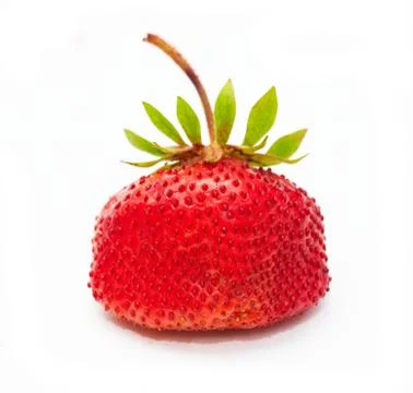Strawberry Foto stock