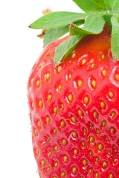 Strawberry Stock Photos