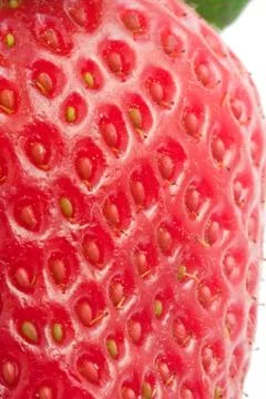 Strawberry Stock Photos