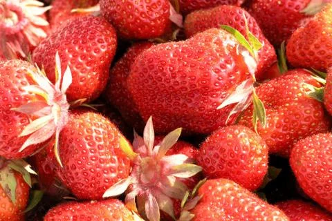 Strawberry Stock Photos