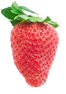 Strawberry Stock Photos