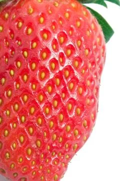 Strawberry Stock Photos