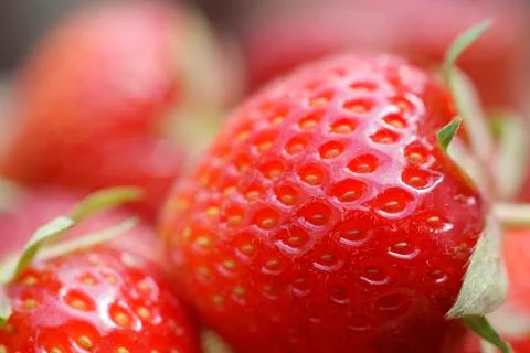 Strawberry Stock Photos