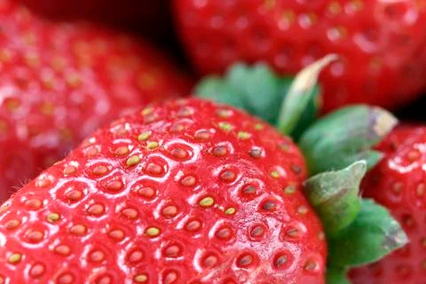 Strawberry Stock Photos