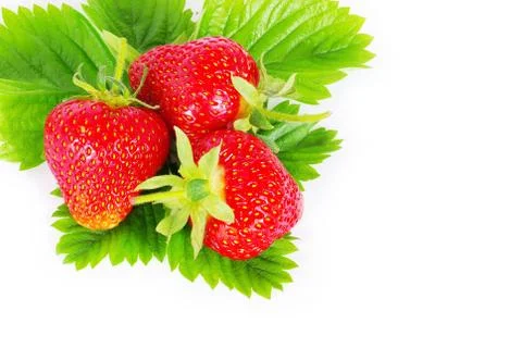 Strawberry Stock Photos