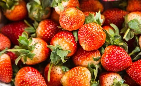 Strawberry Stock Photos