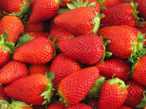 Strawberry 库存照片