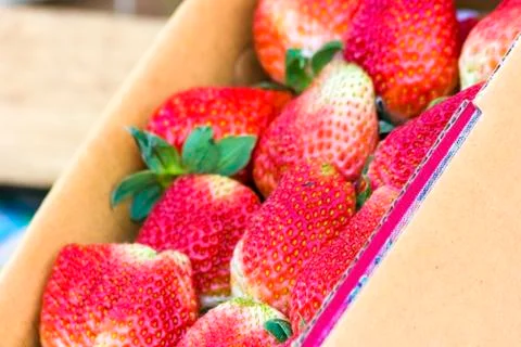 Strawberry Stock Photos