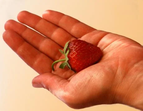 Strawberry. Stock Photos