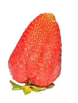 Strawberry Stock Photos