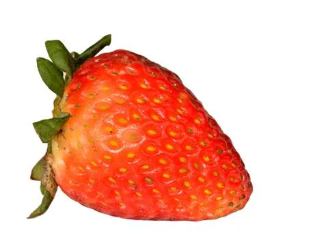 Strawberry Stock Photos