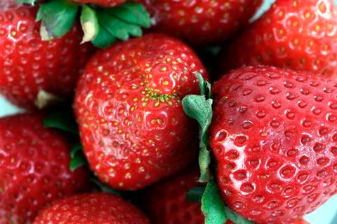 Strawberry Stock Photos
