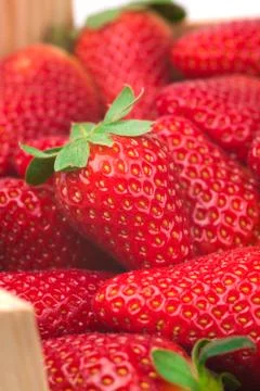 Strawberry Stock Photos