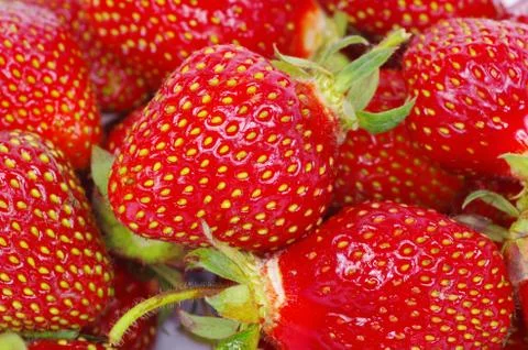 Strawberry Foto stock