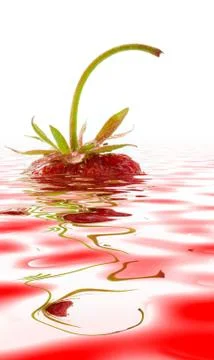 Strawberry Stock Photos