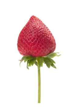 Strawberry Stock Photos