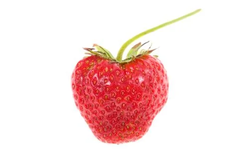 Strawberry Stock Photos