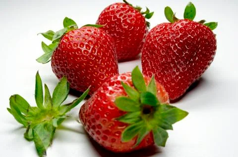 Strawberry 스톡 사진