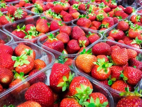 Strawberry Stock Photos