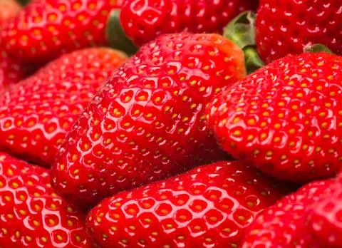 Strawberry Stock Photos