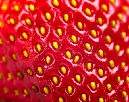 Strawberry Foto stock