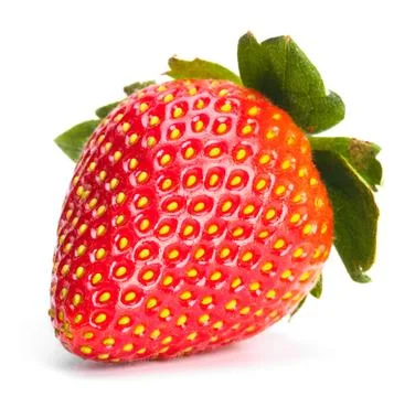 Strawberry Stock Photos
