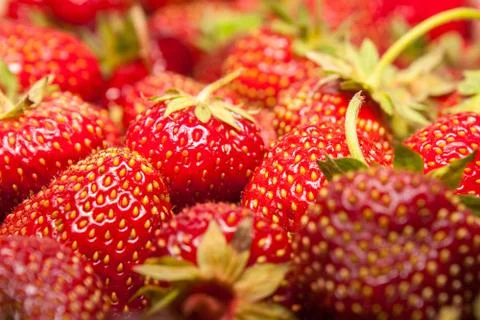 Strawberry Stock Photos