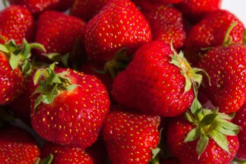 Strawberry Stock Photos