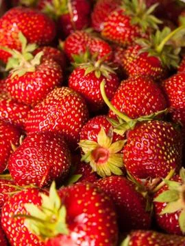 Strawberry Stock Photos