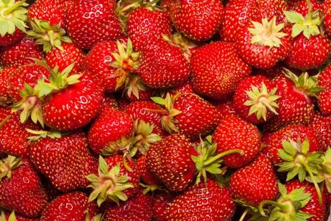 Strawberry Stock Photos