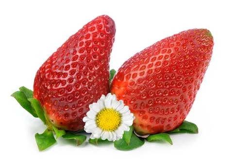 Strawberry Foto stock