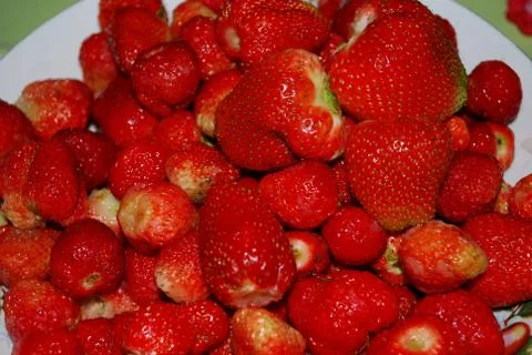 Strawberry Stock Photos