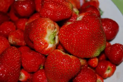 Strawberry Stock Photos