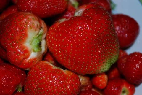 Strawberry Stock Photos