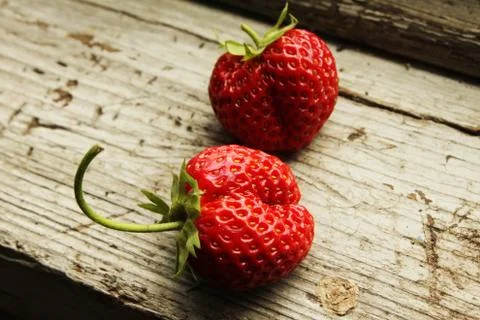 Strawberry Stock Photos