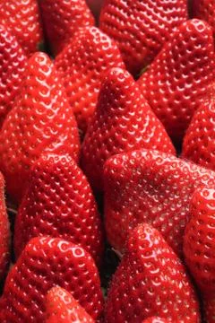 Strawberry Stock Photos