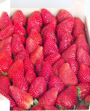 Strawberry Stock Photos