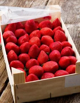 Strawberry Stock Photos