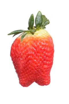 Strawberry Stock Photos