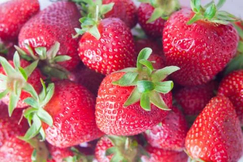 Strawberry Stock Photos