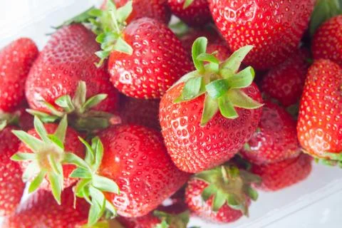 Strawberry Stock Photos