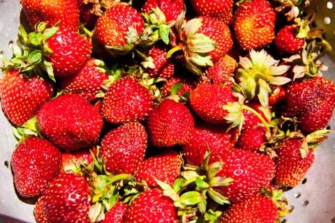 Strawberry Stock Photos