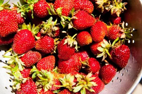 Strawberry Foto stock