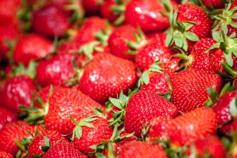 Strawberry 스톡 사진