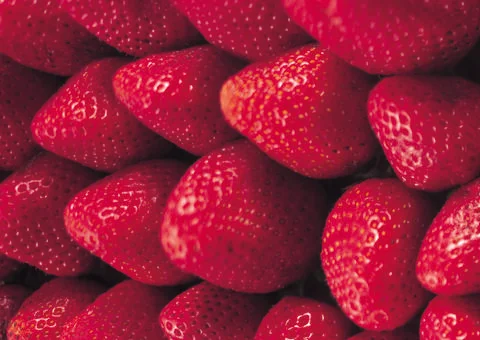 Strawberry Stock Photos