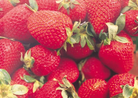 Strawberry Stock Photos