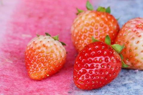Strawberry Stock Photos